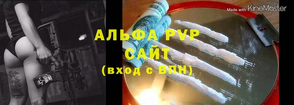 стаф Верея