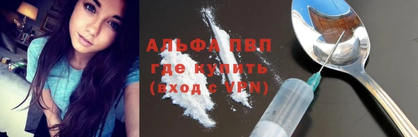 стаф Верея