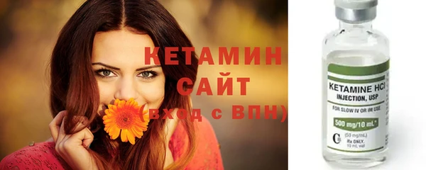 стаф Верея